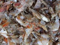 Best price shrimp shell - 2022 - Vietnam