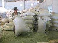 GREEN SEAWEED/ PURE ULVA LACTUCA/ KELP (Feed, Fertilizer) powder/ chips