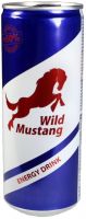 Wild Mustang
