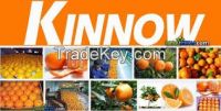 https://www.tradekey.com/product_view/Citrus-Fruit-mandarins-Kinnow-Mango-Seasonal-potato-White-amp-red-rice-Basmati-amp-Irri-8175853.html