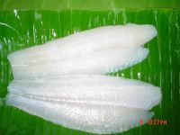 Fillet Pangasius - Best Price