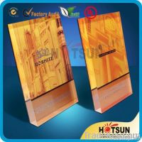 Customized Acrylic Award Display