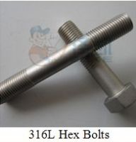 stainless steel 316L hex bolt