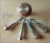 304 STAINLESS STEEL HEX FLANGE BOLT