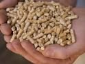 best quality wood pellets for sell at discount prices