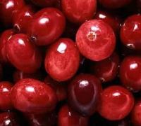 plant extract