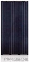 2013 Hot Selling Solar Panel PV Module with Low Price