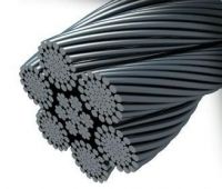 Stainless Steel Wire Strand