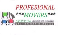 PROFESIONAL MOVER & PACKER 0503536196 SAHIL