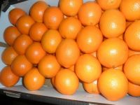 navel orange