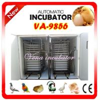 Fully Automatic Chicken Egg Incubator for 10000 Eggs 