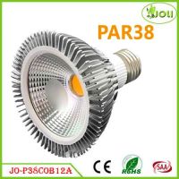 LED Par38 COB Spot Light Dimmable