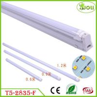 LED Tube Light Chinese Top Supplier Facotries Manufacturers Distributors