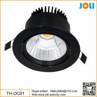 LED Ceiling Light