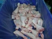 Frozen Chicken Leg Quaters (CLQ)