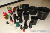 nursry seeding pots , thin wall pots