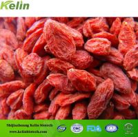 China manufacturer supply hot sale best price dried goji berry