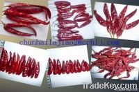 dried red chili
