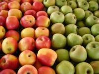 Fresh green Organic Apples