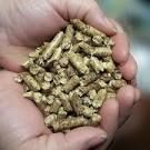 100% pine Wood pellets for sell