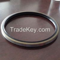 TB shaft oil seal ( 10mm - 300mm)