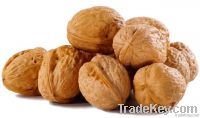 Walnuts and kernels