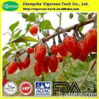 Wolfberry Extract(Goji berry extract)