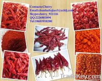 midium hot chilli xinyidai chilli dried red chilli
