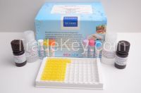 sarafloxacin veterinary ELISA Kit