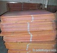 Copper Cathode 99.99%