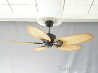 Ceiling Fan