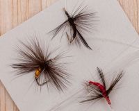 Ready kit-fishing flies