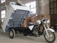 Cargo Trike