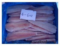 frozen fish alaska pollock fillets_160912