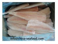 china HACCP MSC frozen fish pollack_160919