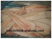 china HACCP MSC  frozen fish pollock fish_160919