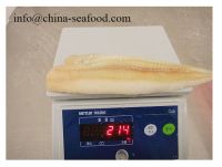 high quality china  HACCP MSC frozen fish APO_160922