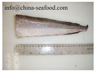 seafood high quality china HACCP MSC  frozen fish hake_160926