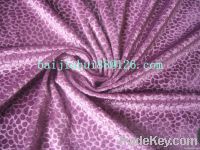 cloth fabric