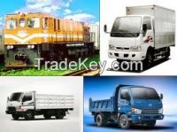 Domestic Transport Services