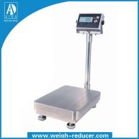 Stainless steel platform scale 
