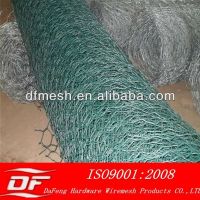 Professional Maufacture Hexagonal Wire Mesh