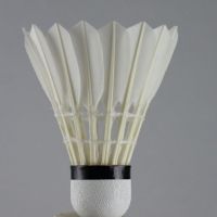 Tl-001 Top Class Goose Feather Badminton Shuttlecocks For Professional Competition