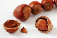 italy hazelnuts