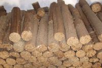 Spruce Wood Pellet Briquette