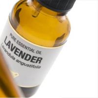 quality sassafras oil , Lavender  essential oil for sale