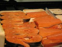 Fresh Frozen Salmon