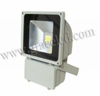 100W COB Solar LED Flood light with Sensor IP65