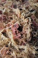 DRIED SEAWEEDS