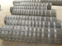 Hinged Joint Fence factory , Animal Protection mesh supplier